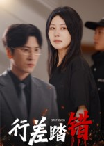 行差踏错（61集）短剧排行榜前十名