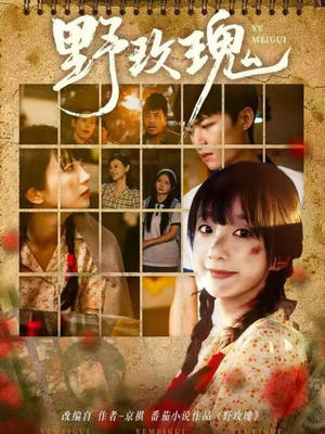 野玫瑰（82集）短剧全集都在这里免费看