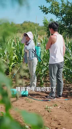 种地没前途那你问问我的十万亩地（68集）好看又上头的热播短剧推荐