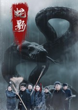 蛇影（25集）百看不厌的精彩短剧分享