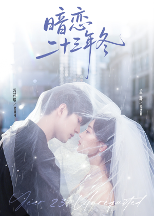 暗恋二十三年冬（60集）短剧追到爽热播短剧