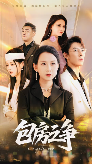 包房之争（50集）短剧大结局全集特惠