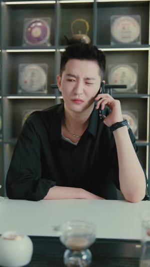 我真没有绑架女明星（72）精彩短剧随心推