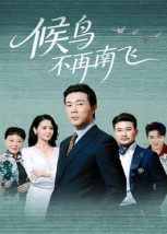 候鸟不再南飞（80集）热播短剧停不下来