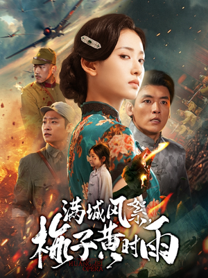 满城风絮梅子黄时雨（58集）免费观看热门短剧大结局