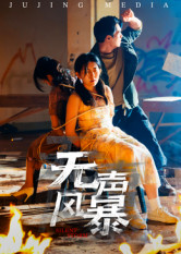 无声风暴（33集）火爆又上头的短剧抢先看