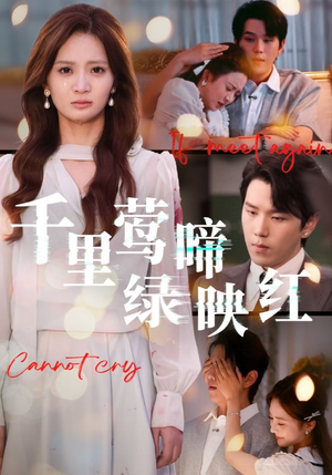 千里莺啼绿映红（63集）下崽红果短剧免费看全集