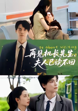 再见机长先生夫人已读不回（62集）忍不住一口气看到短剧大结局