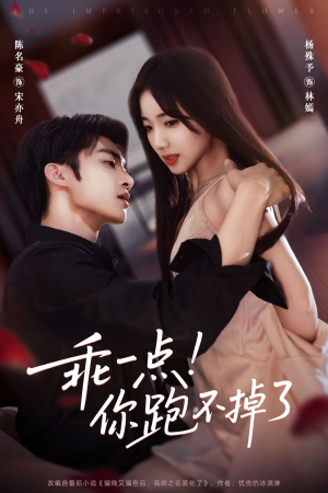 乖一点！你跑不掉了（85集）古装重生短剧推荐