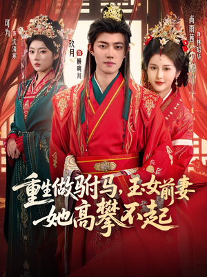重生做驸马，玉女前妻她高攀不起（79集）短剧全集VR沉浸版