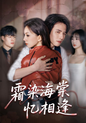 霜染海棠忆相逢（72集）好看短剧不容错过