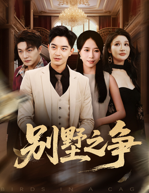别墅之争（59集）免费看短剧全集