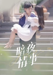 暗夜情事（100集）终于可以免费看短剧了