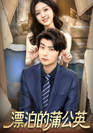 漂泊的蒲公英（60集）让你看了就停不下来的精彩短剧