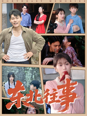 东北往事（60集 ）红果免费短剧