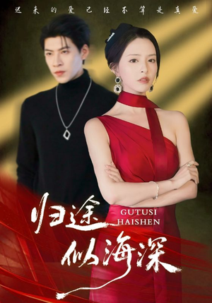 归途似海深（61集）热门短剧免费观看