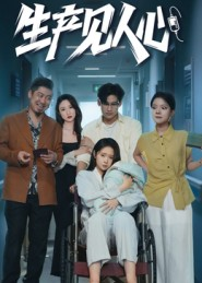 生产见人心（40集）最新热播短剧推荐