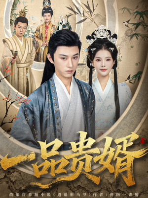 一品贵婿（80集）短剧结局合集限免刷