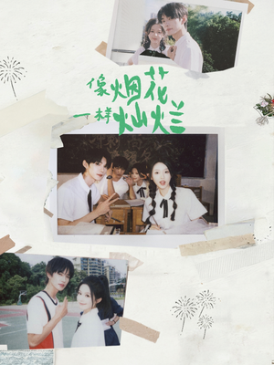 像烟花一样灿烂（60集）好看的短剧来了