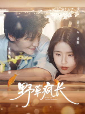 野草疯长（71集）短剧精彩不容错过
