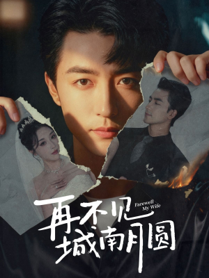 再不见城南月圆（60集）红果免费短剧免费看全集