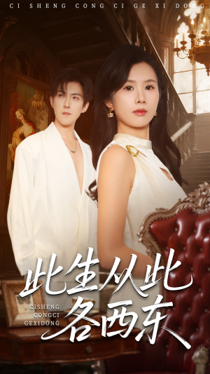 此生从此各西东（60集）精彩的网络短剧