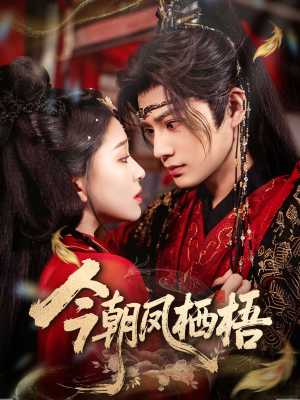 今朝凤栖梧（68集）上头短剧一口气看完系列