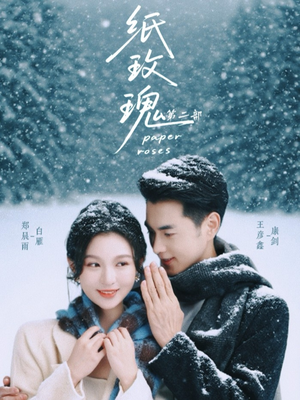 纸玫瑰第二部（80集）热门短剧电影推荐