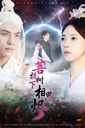 菩提树下相思烬（63集）在线观看全集高清短剧
