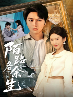 陌路各余生（65集）红果短剧免费看全局