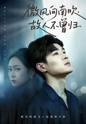 微风向南吹，故人不曾归（72集）悟空浏览器免费看短剧
