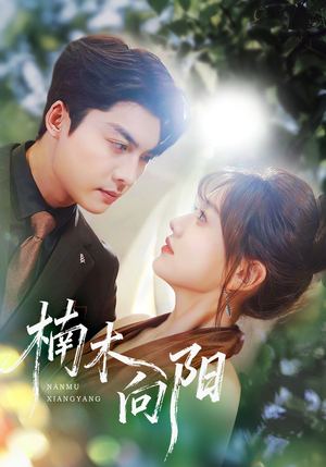 楠木向阳（70集）西瓜短剧免费看