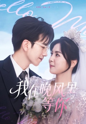 我在晚风里等你（65集）热门免费短剧推荐