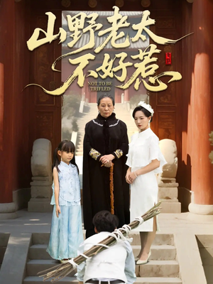 奶奶一脚震全城（64集）每日更新热门短剧