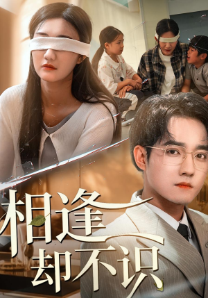 相逢却不识（77集）无需注册短剧在线免费看