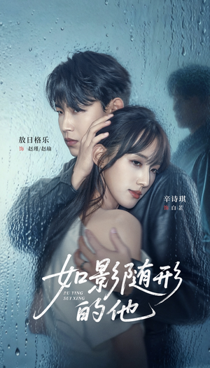 如影随形的他（30集）热门短剧推荐古装