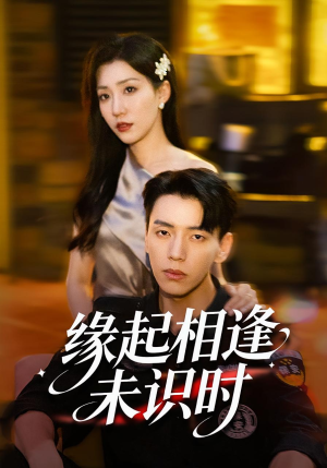 缘起相逢未识时（57集）一口气追完所有短剧