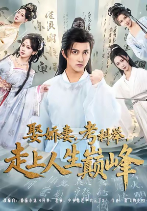 娶娇妻，考科举，走上人生巅峰（80集）都市生活短剧免费在线观看