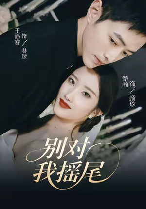 别对我摇尾（59集）好看短剧不容错过