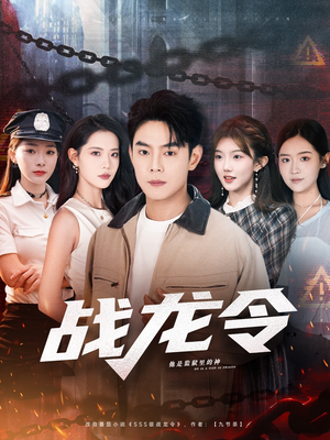 战龙令（76集）红果免费短剧