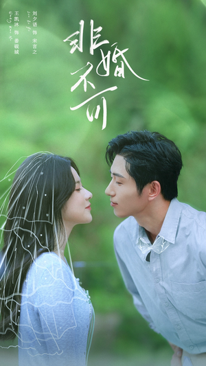 非婚不可（65集）全部免费观看全集