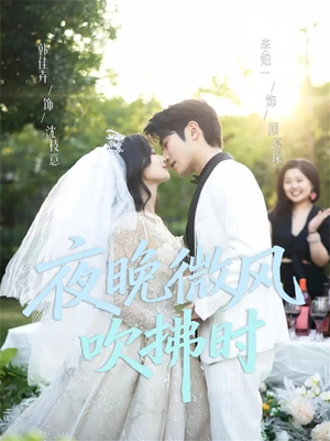 夜晚微风吹拂时（61集）每日分享不一样的短剧