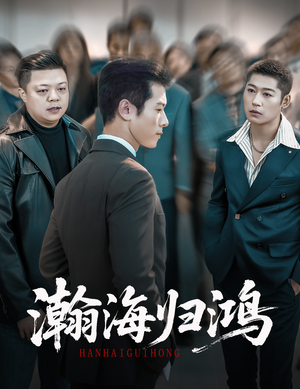 瀚海归鸿（74集）直接看到大结局的短剧