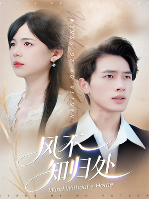 风不知归处（78集）短剧结局篇全集直通