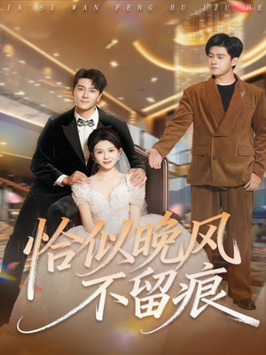 恰似晚风不留痕（61集）短剧追到爽大结局来了