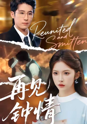 再见钟情（100集）短剧追到爽热播短剧