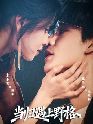 当归遇上野格（66集）短剧后续更精彩