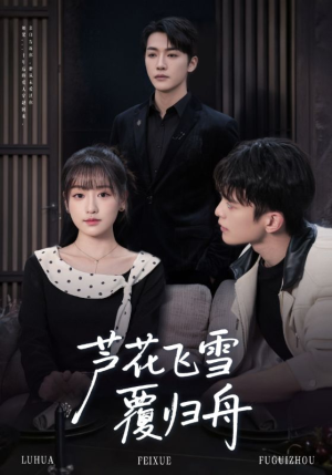 芦花飞雪覆归舟（77集）亿万短剧抢先看