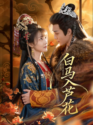 白马入芦花（59集）好看的短剧一定要分享