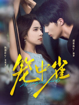 笼中雀（65集）短剧爆款全集在线播